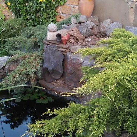 Guest House Apartament *