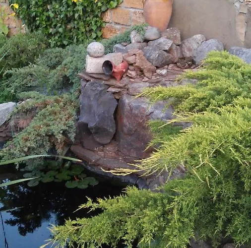 Guest House Apartament *